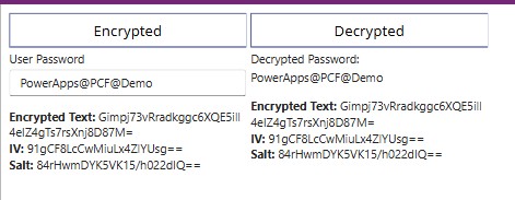 Decrypted TextBox